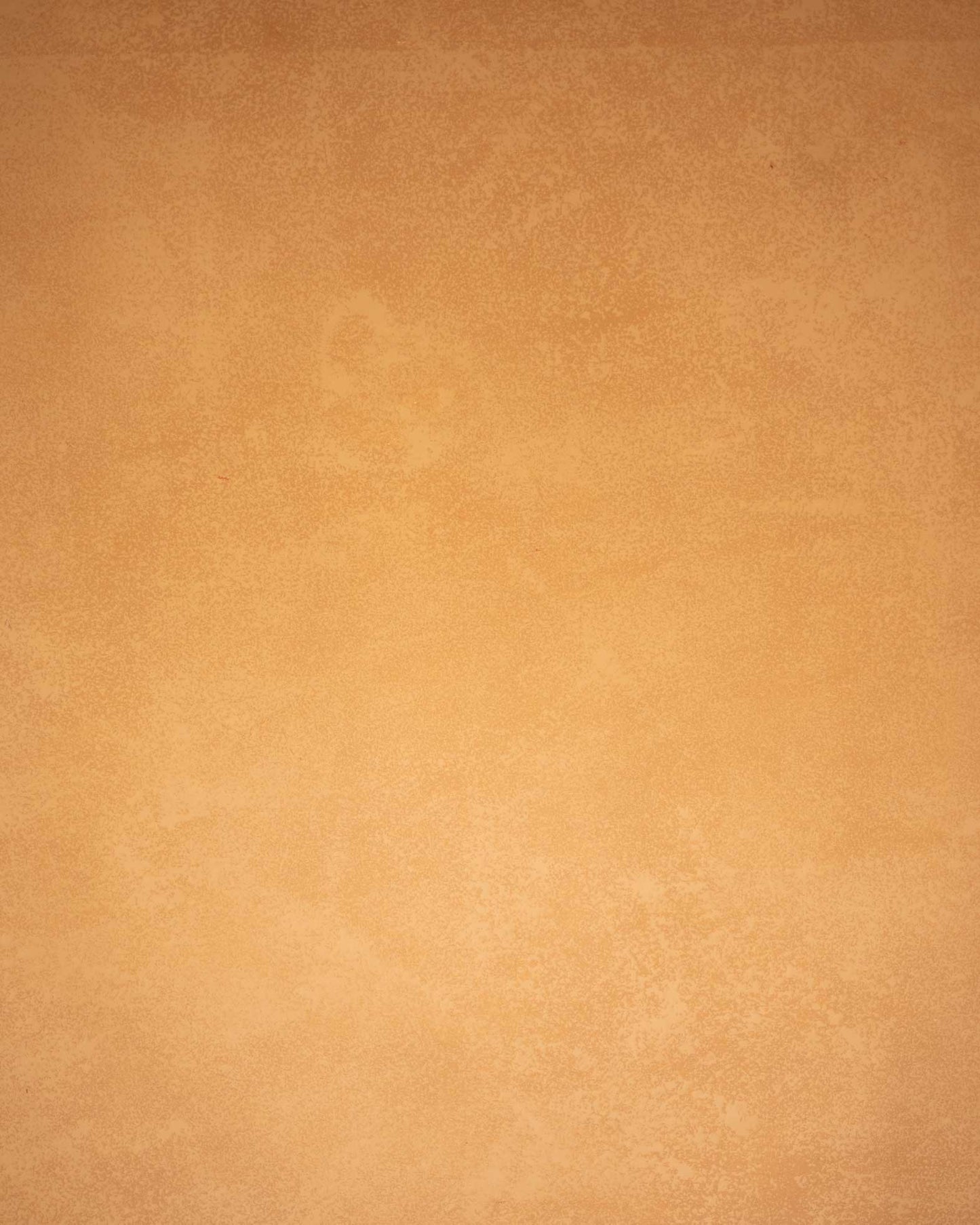 Backdrop: CLEMMS deep yellow 8ft by 12ft hand painted backdrop