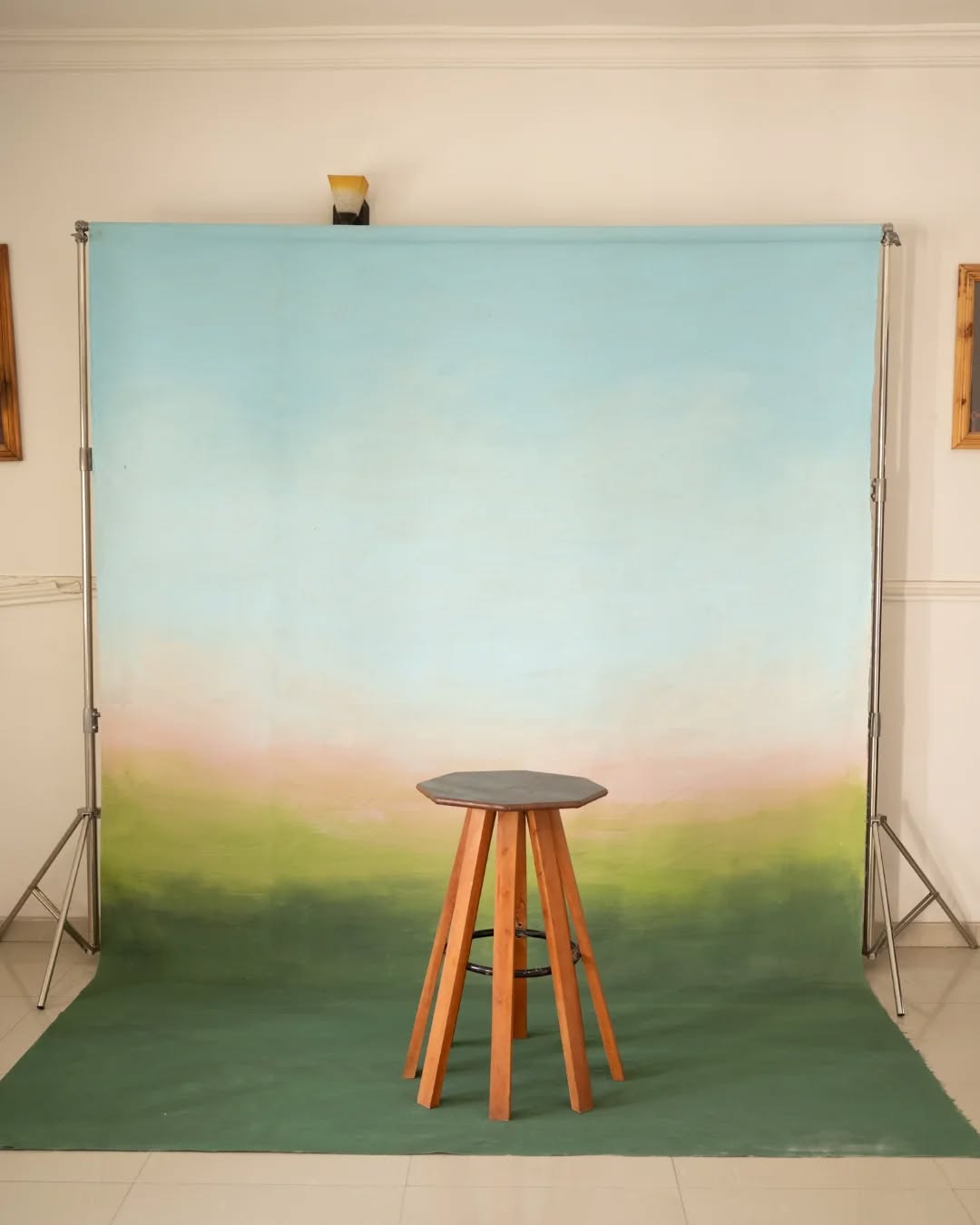Backdrops; Hand painted 8ft by 12 canvas backdrop